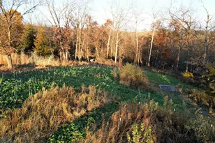 32974 Potter Ln, Muscoda, WI 53573 - Photo 69