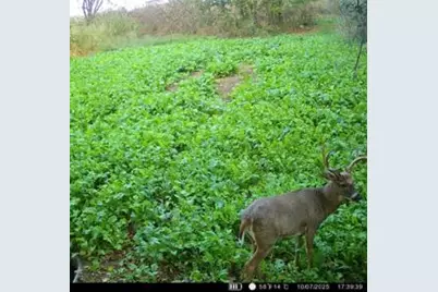 32974 Potter Lane, Muscoda, WI 53573 - Photo 47