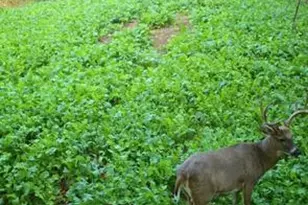 32974 Potter Ln, Muscoda, WI 53573 - Photo 47