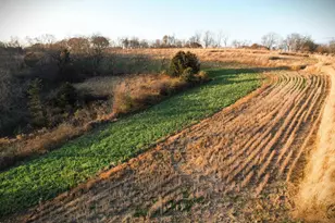 32974 Potter Ln, Muscoda, WI 53573 - Photo 71