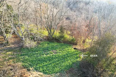 32974 Potter Lane, Muscoda, WI 53573 - Photo 19