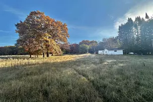 W1712 Deerborn Dr, Neshkoro, WI 54960 - Photo 25