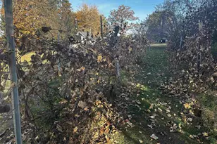 W1712 Deerborn Dr, Neshkoro, WI 54960 - Photo 29