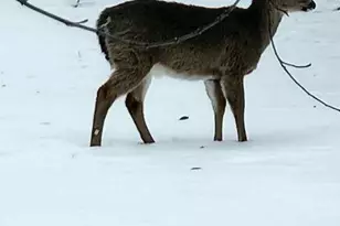 1713 E Howard Dr, Edgerton, WI 53534 - Photo 11