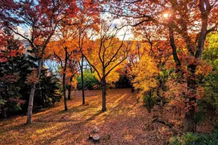 10168 N Edgewood Shores Rd, Edgerton, WI 53534 - Photo 47