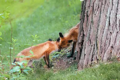 10168 N Edgewood Shores Road, Edgerton, WI 53534 - Photo 45