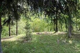 N4116 Fern Ln, Oxford, WI 53952 - Photo 15