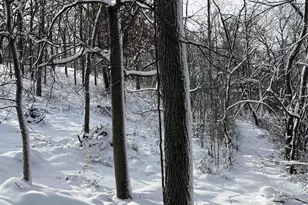 245 Whitetail Ln, Deerfield, WI 53531 - Photo 43