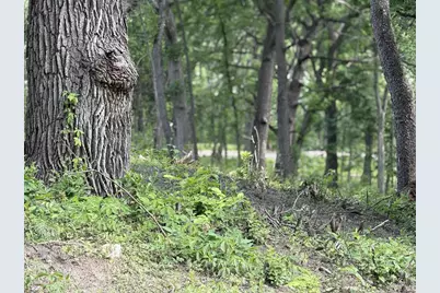 245 Whitetail Lane #23, Deerfield, WI 53531 - Photo 15