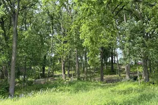 245 Whitetail Ln, Deerfield, WI 53531 - Photo 37