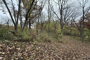 229 Whitetail Ln, Deerfield, WI 53531 - Photo 51