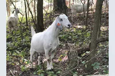 229 Whitetail Lane #27, Deerfield, WI 53531 - Photo 63