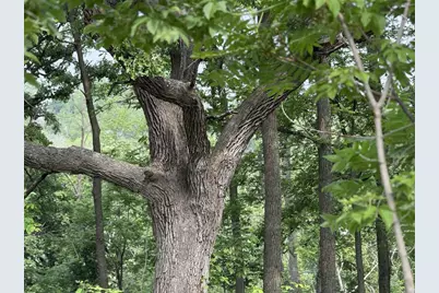 229 Whitetail Lane #27, Deerfield, WI 53531 - Photo 61