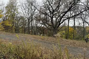 229 Whitetail Ln, Deerfield, WI 53531 - Photo 39