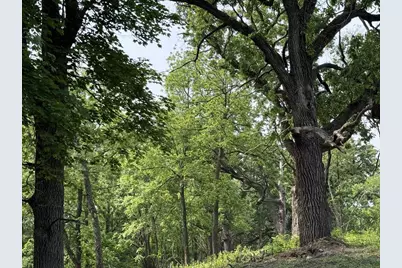 229 Whitetail Lane #27, Deerfield, WI 53531 - Photo 53