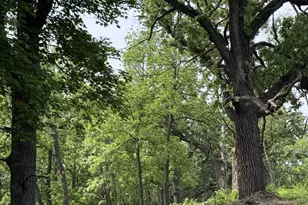 229 Whitetail Ln, Deerfield, WI 53531 - Photo 53