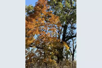 229 Whitetail Lane #27, Deerfield, WI 53531 - Photo 41