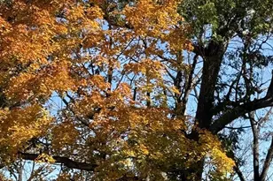 229 Whitetail Ln, Deerfield, WI 53531 - Photo 41