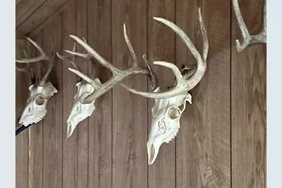 S2547 State Hwy 58, La Valle, WI 53941 - Photo 13