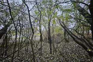 2634 Hamilton St, Portage, WI 53901 - Photo 39