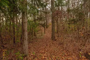 6689 Purcell Rd, Belleville, WI 53508 - Photo 63