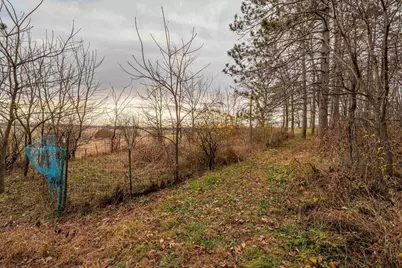 6689 Purcell Road, Belleville, WI 53508 - Photo 67