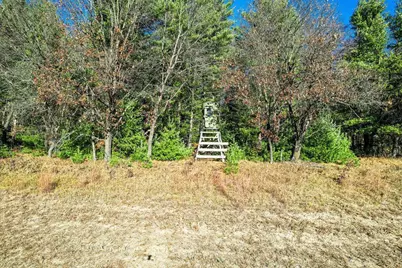 1504 Atom Road, Warrens,warrens, WI 54666 - Photo 19