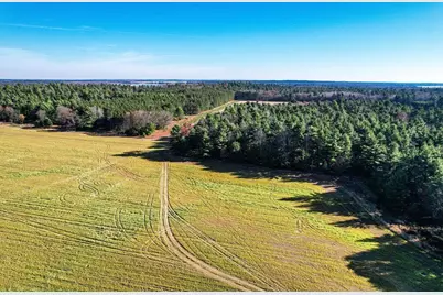 1504 Atom Road, Warrens,warrens, WI 54666 - Photo 13