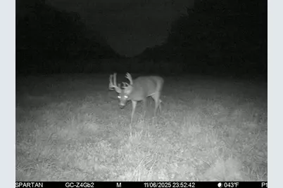 1504 Atom Road, Warrens,warrens, WI 54666 - Photo 17