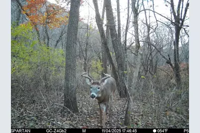 1504 Atom Road, Warrens,warrens, WI 54666 - Photo 11