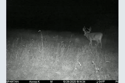 1504 Atom Road, Warrens,warrens, WI 54666 - Photo 7