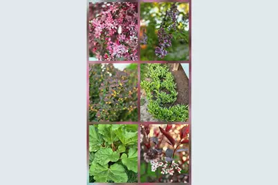 803 Centennial Parkway, Waunakee, WI 53597 - Photo 23