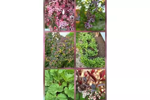 803 Centennial Pkwy, Waunakee, WI 53597 - Photo 23