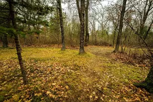 N6814 Eddy Rd, Black River Falls, WI 54615 - Photo 3