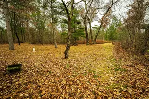 N6814 Eddy Rd, Black River Falls, WI 54615 - Photo 17