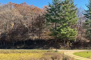 1906 Squirrel Hill Rd, Hollandale, WI 53544 - Photo 63