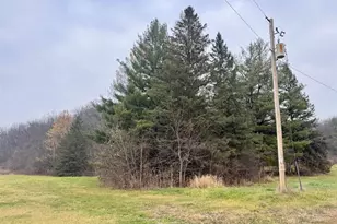 4732 Hwy 78, Black Earth, WI 53515 - Photo 9