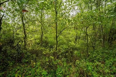 E11695 Chadwick Hollow Road, Viola, WI 54664 - Photo 45