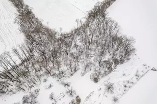 3891 Birch Trail, Cross Plains, WI 53528 - Photo 53