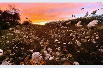 3891 Birch Trail, Cross Plains, WI 53528 - Photo 67