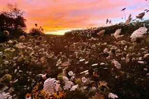 3891 Birch Trail, Cross Plains, WI 53528 - Photo 67