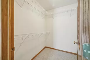 315 Pebble Brook Ln, Lodi, WI 53555 - Photo 29