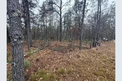 1615 Campfire Road, Nekoosa, WI 54457 - Photo 29