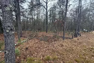 1615 Campfire Rd, Nekoosa, WI 54457 - Photo 29