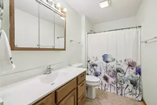 315 Pebble Brook Ln, Lodi, WI 53555 - Photo 29