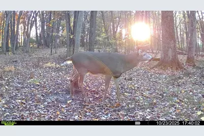 28133 County Highway Et, Tomah, WI 54660 - Photo 29