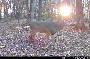 28133 Co Hwy ET, Tomah, WI 54660 - Photo 29