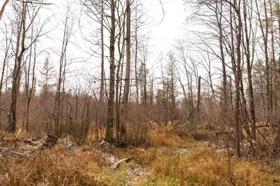 N5301 County Rd Y Road, Montello, WI 53949 - Photo 75