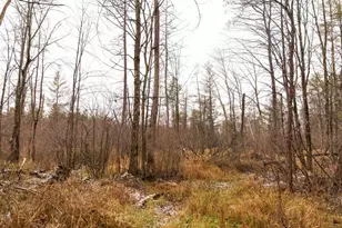 N5301 County Rd Y Rd, Montello, WI 53949 - Photo 75