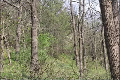 138 Peerless Road, New Glarus, WI 53574 - Photo 9